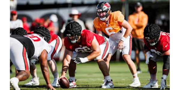Seuls les Buccaneers de Tampa Bay n'ont pas connu de changements majeurs dans leur effectif Seuls les Buccaneers de Tampa Bay n'ont pas connu de changements majeurs dans leur effectif
